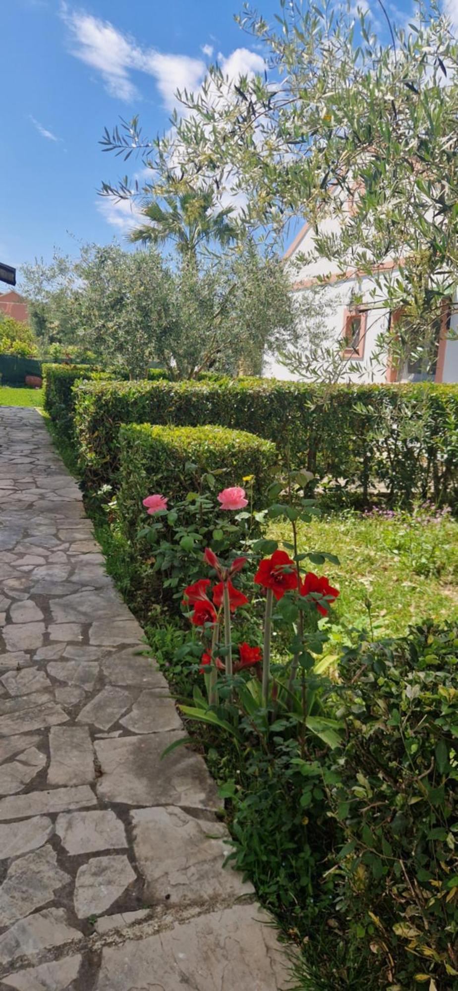 Corfu Studio 4U Roda  Luaran gambar